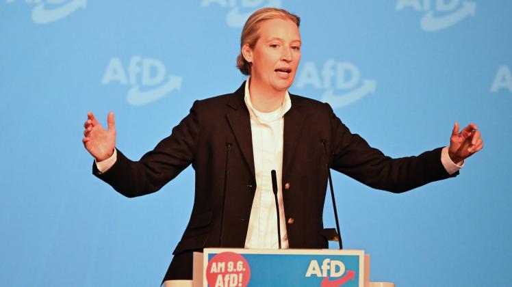 alice-weidel_1.jpg