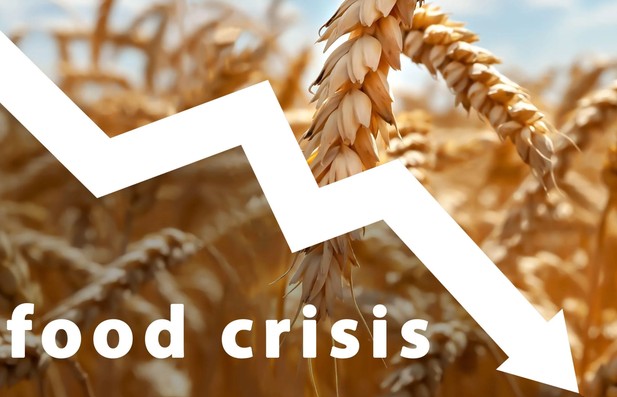 food_crisis.jpg