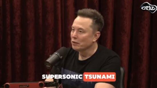 musk_tsunami.jpg