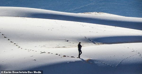 38111004-9156697-While_January_brings_snow_and_ice_to_many_parts_of_the_world_the-a-81_1610897374676-600x313.jpg
